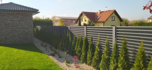 C:\fakepath\IMG 20211026 143855