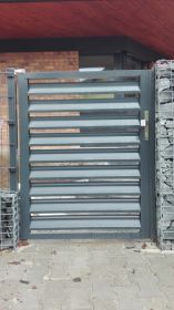 Vstupní a vchodové branky