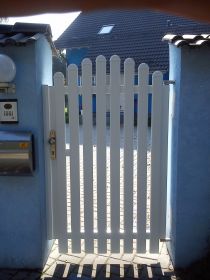 Vstupní a vchodové branky